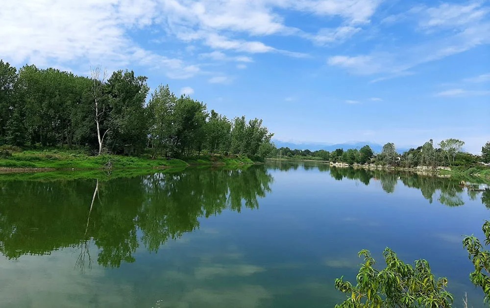 تالاب عینک (دریاچه عینک): تالاب شهری رشت